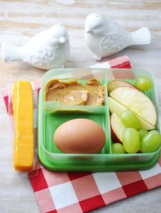 Homemade Protein 'On-The-Go Bistro Box'